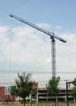 Linden Comansa Tower Crane 21Lc550 114510